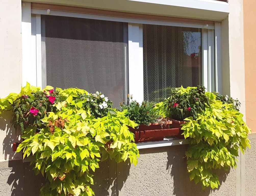 Domboldal Vendeghaz Apartment Noszvaj Exterior photo